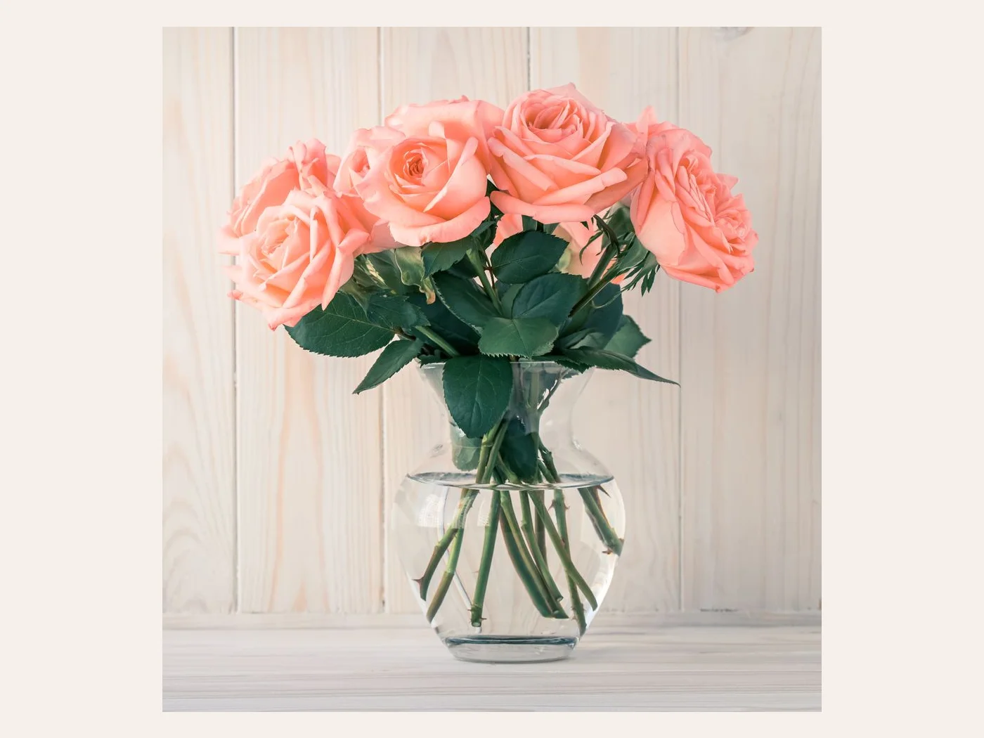 Rose — Sträuße, Geschenke, Romantik
