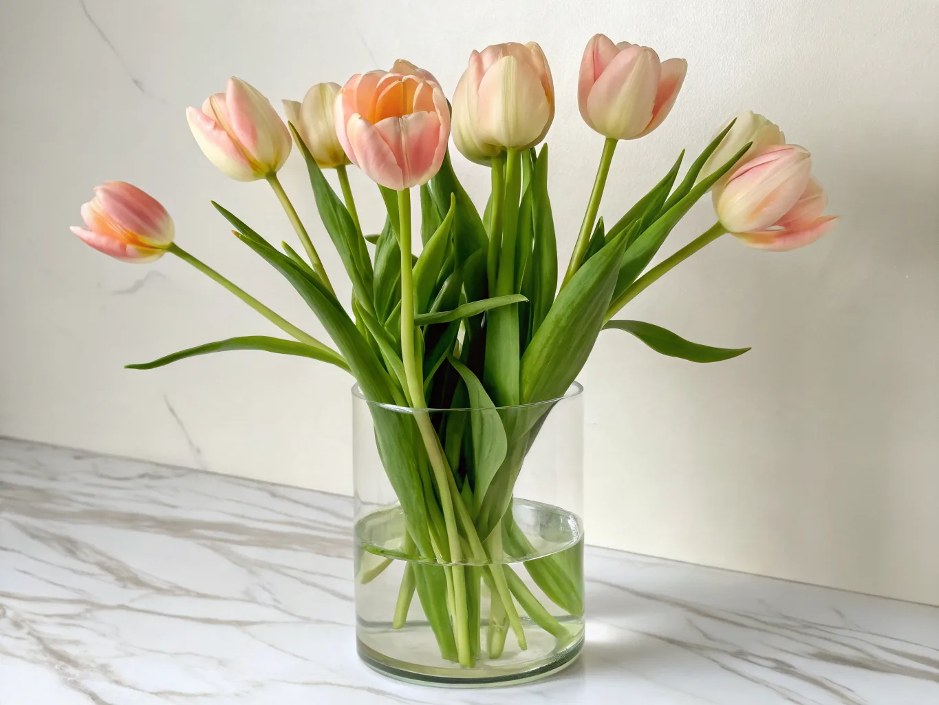 Tulpe — Frühlingssträuße, frische Dekoration