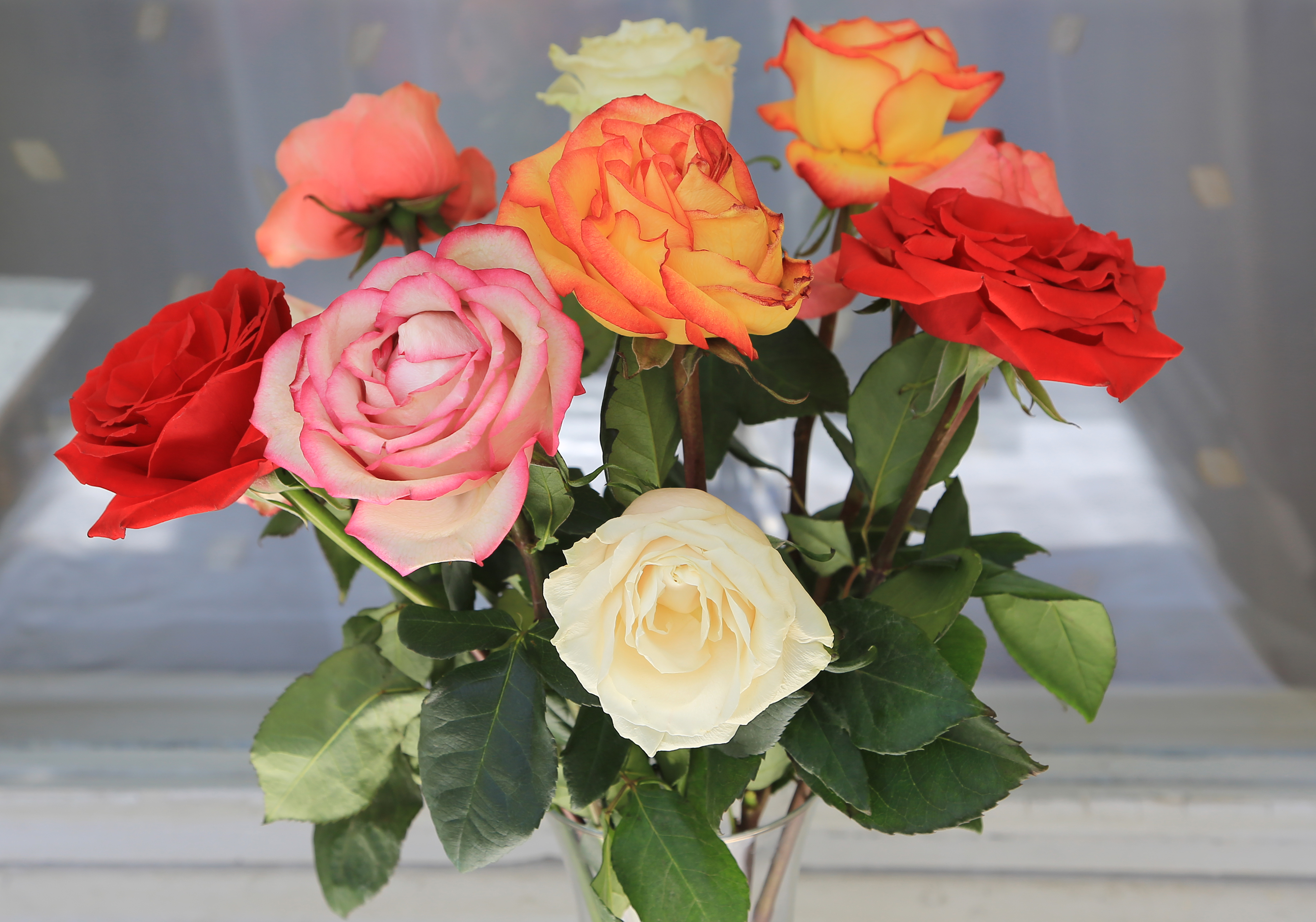 9 Rosen in Vase