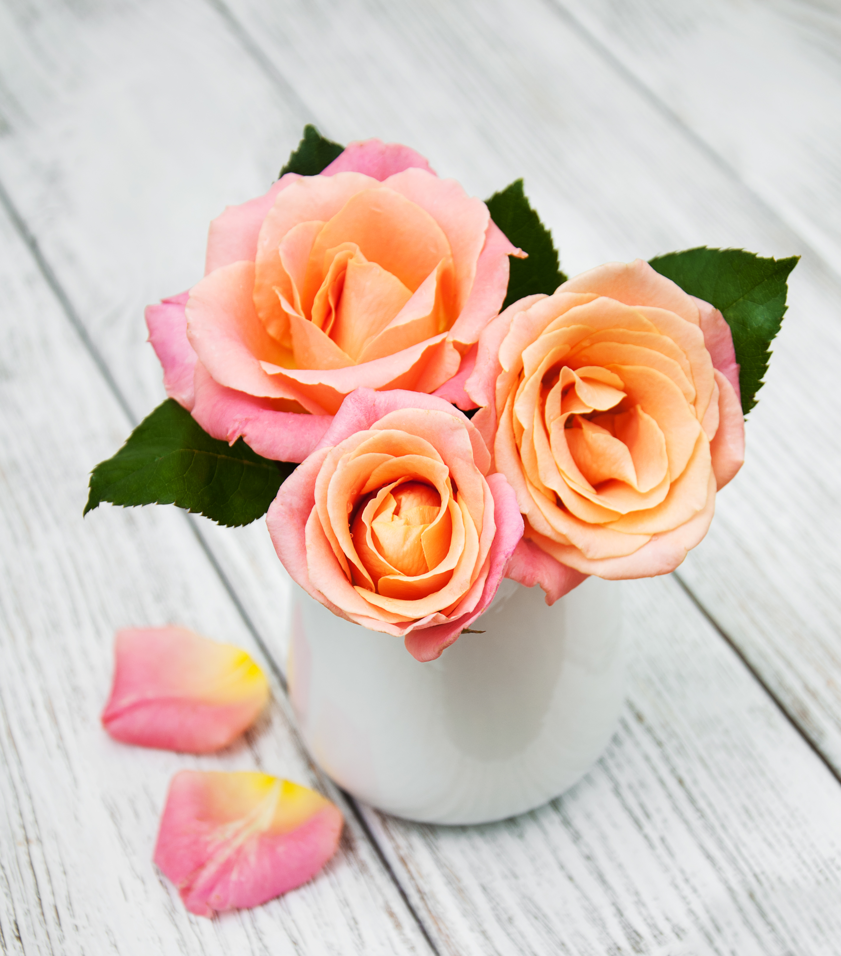 3 Rosen in Vase