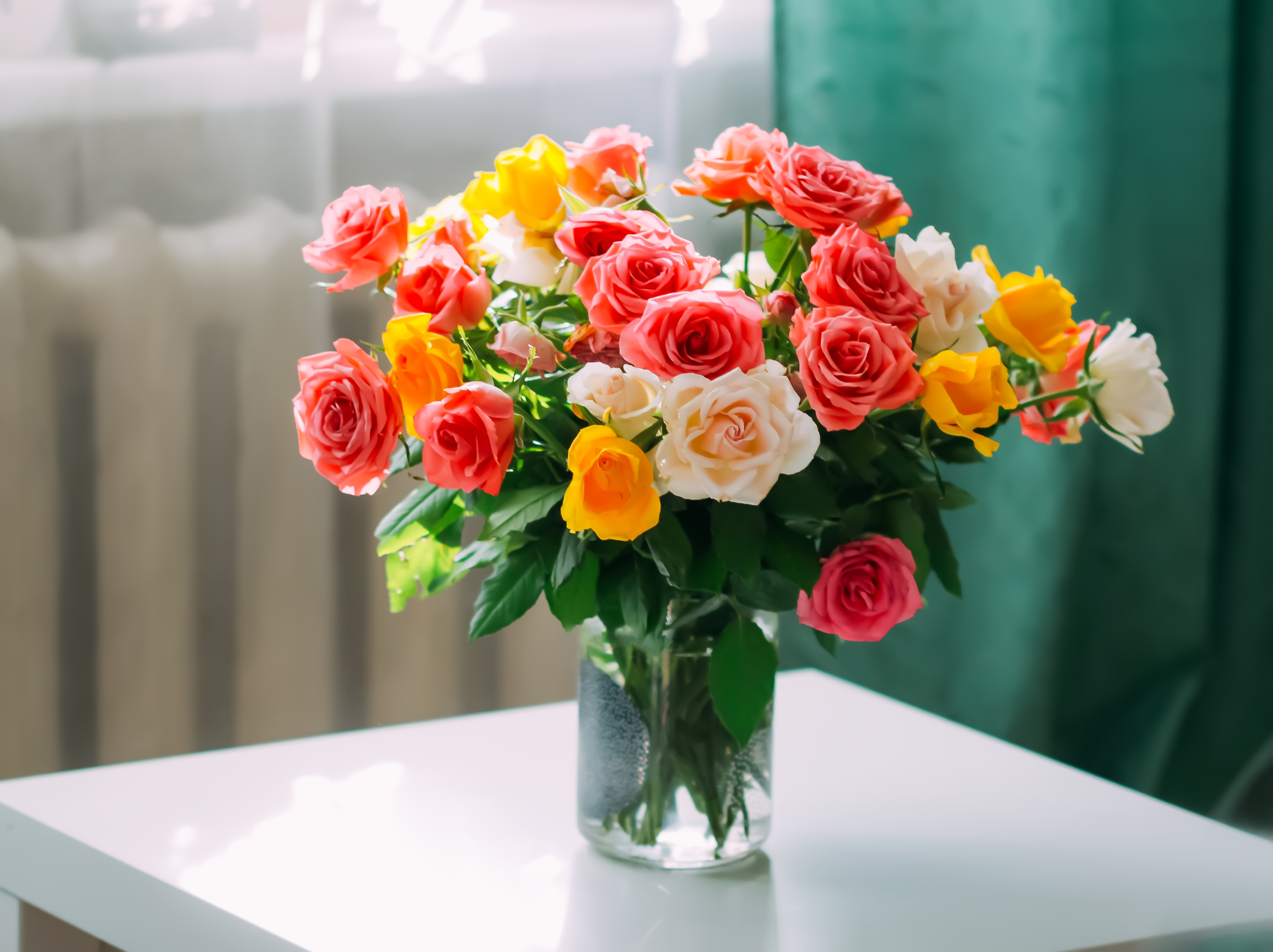 20+ Rosen in Vase